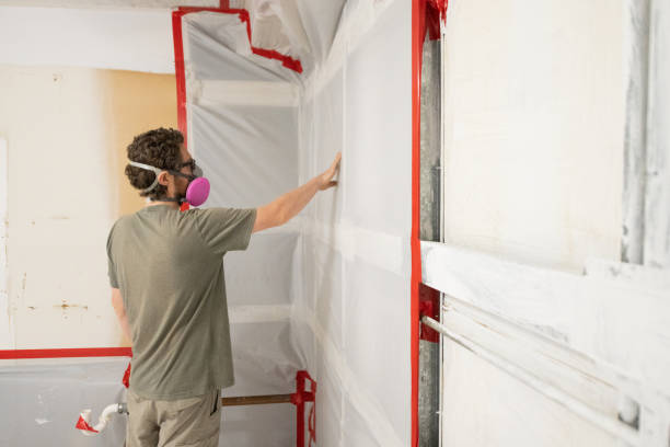 Best Basement Mold Removal  in Logan, NM