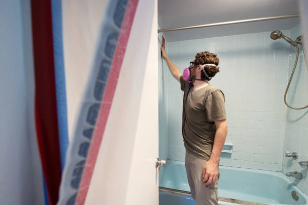 Best Comprehensive Air Testing for Mold Contaminants  in Logan, NM