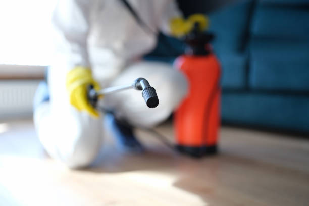 Best Mold Removal for HVAC Installations  in Logan, NM