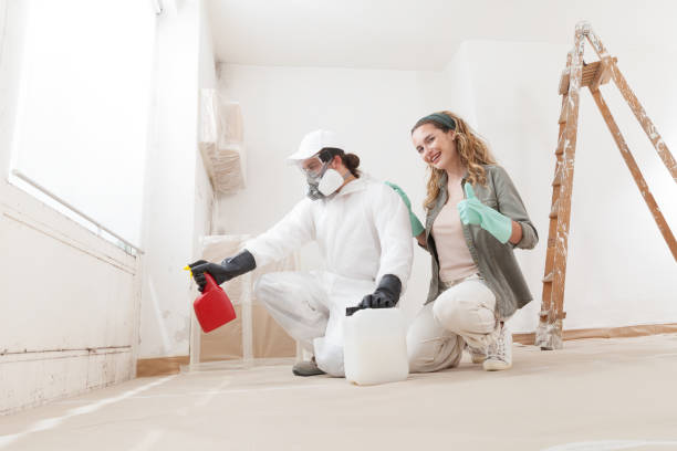 Best Crawl Space Mold Remediation  in Logan, NM